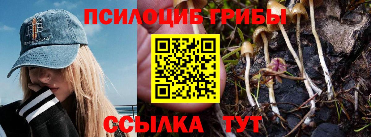 Фурманов  Псилоцибиновые грибы GOLDEN TEACHER  Галлюциногенные грибы MAGIC MUSHROOMS  Вход с VPN 