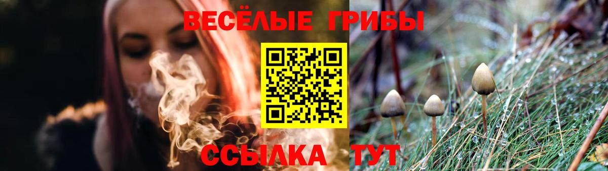 Псилоцибиновые грибы MAGIC MUSHROOMS Фурманов